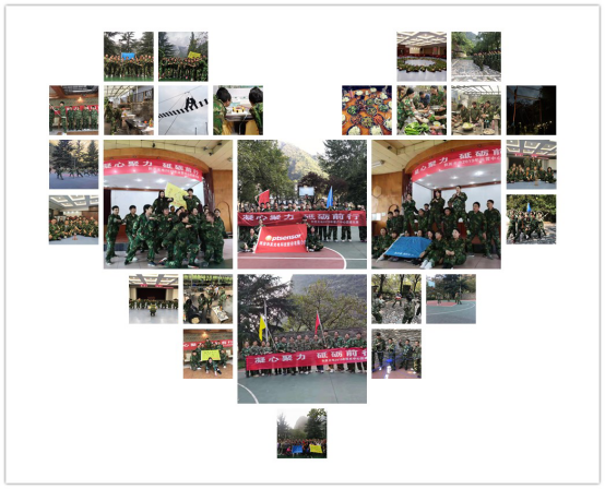 5dc52c2e71607.png 5dc52c2e71607.png