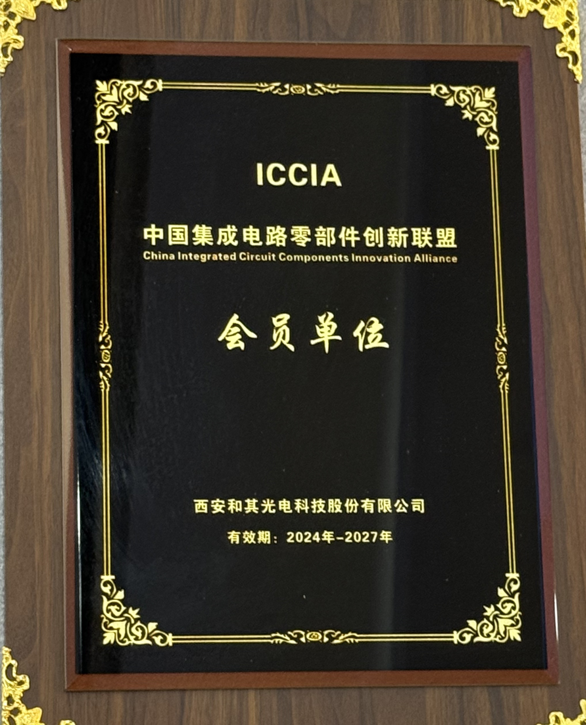 精品人妻伦九区久久AAA片69